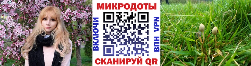 Галлюциногенные грибы ЛСД  купить  цена  Мензелинск 